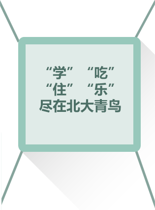“学”“吃” “住”“乐” 尽在北大青鸟